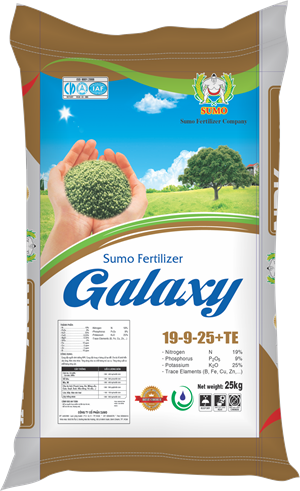 Phân NPK Galaxy 19 - 9 - 25 + TE