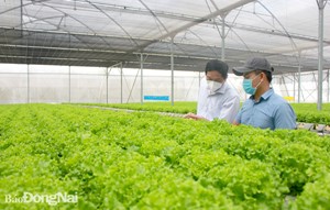 Xây dựng nông thôn hiện đại, văn minh, đáng sống