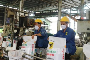 Giá phân bón ở mức cao nhất trong khoảng 50 năm qua