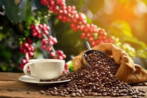 GIÁ CÀ PHÊ, HẠT TIÊU TĂNG SỐC