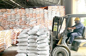 Doanh nghiệp sản xuất vật tư nông nghiệp 'ăn đong' đơn hàng